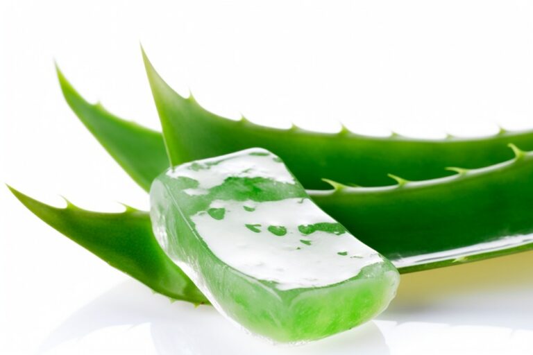 The Many Benefits of Aloe