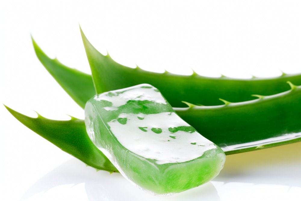 The Many Benefits of Aloe 1 The Many Benefits of Aloe